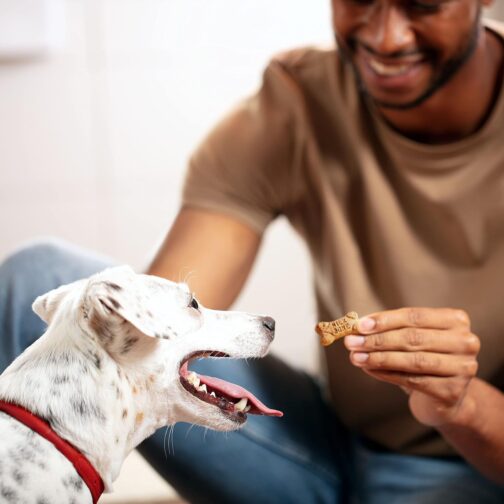 Milk-Bone Mini's Flavor Snacks Dog Treats, 36 Ounce - Image 5