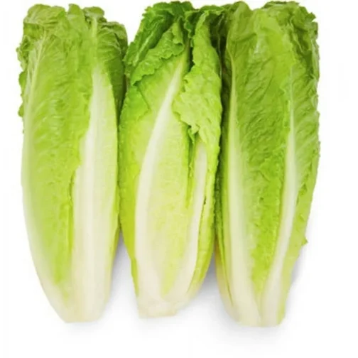 Fresh Romaine Lettuce Hearts 3 Count, Each - Image 2