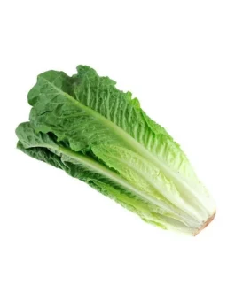 Fresh Romaine Lettuce Hearts 3 Count, Each